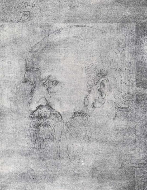 Albrecht Durer The Head of St.Paul china oil painting image